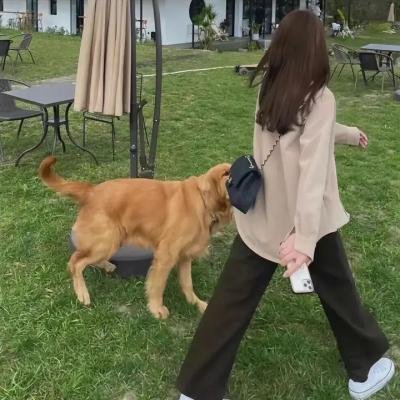 阿舍正传